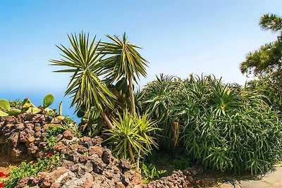 Finca La Hoya, El Tanque