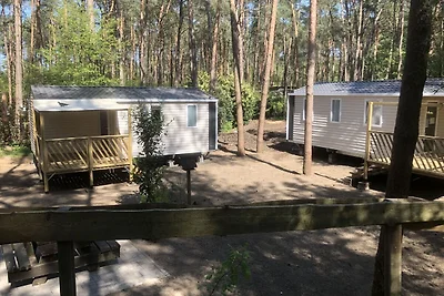 Schönes Chalet mit Veranda im Antwerpener...