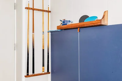 5 Sterne Ferienhaus in Øster Assels-By Traum