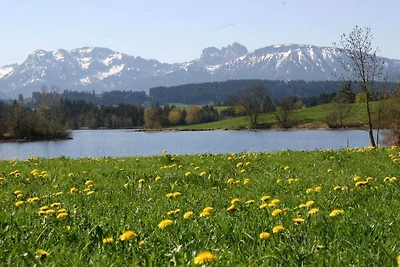 Wohnung in Rückholz mit Schwimmbecken