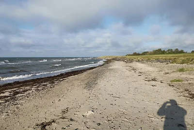 4 stelle case ad Dannemare