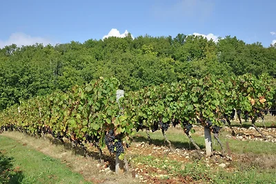 Direkte Umgebung (Sommer) (<1 km) Direkte Umgebung (Sommer) (<1 km)