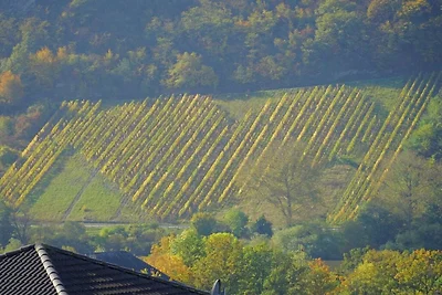 Haus Berghof Mosel