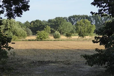 Time out Adendorf Comfortable Vacation Home