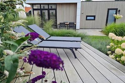Casa vacanze a Olburgen con piscina