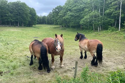 4 Personen Ferienhaus in Nösund