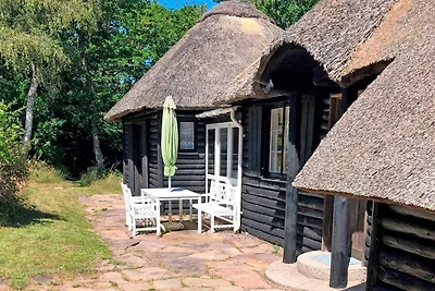 6 persoons vakantie huis in Allinge