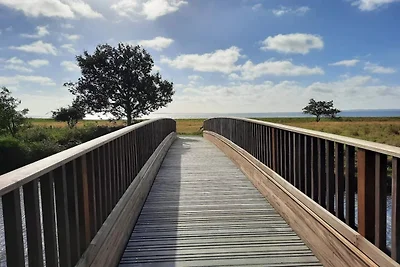 10 persoons vakantie huis in Bjert
