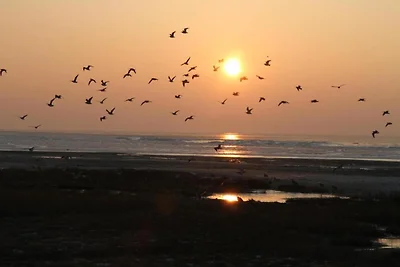 Dünenchalet zwischen Golfplatz und Strand