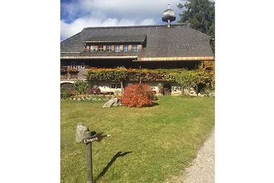Schwarzwaldtraum