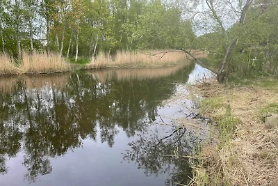 4 Sterne Ferienhaus in SÖLVESBORG