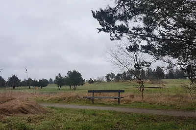 8 persoons vakantie huis in Fjerritslev-By...