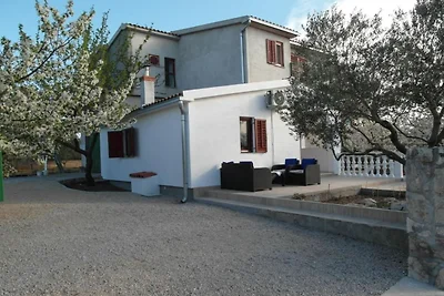 One Bedroom apartment with Terrace