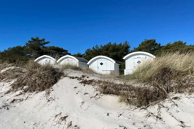 4 persone casa vacanze parco a TESTBY