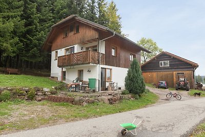 Ruhiges Apartment in Lauterbach in Waldnähe