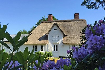 Reetgedecktes Ferienhaus in Humptrup-ehem.