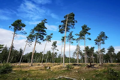 12 Personen Ferienhaus in Væggerløse-By Traum