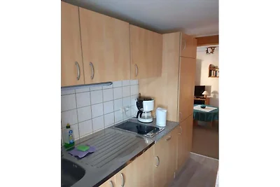 Ferienhaus in Stützerbach mit Wifi