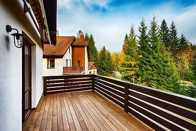 Volledig ingerichte villa in Harrachov