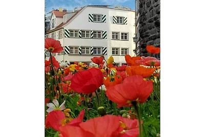 ADORIS VAKANTIEAPPARTEMENT Eiland Lindau