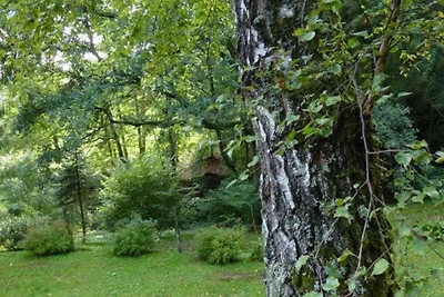 Chalet mit privater Sauna in Bousseviller