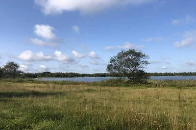 7 persoons vakantie huis in Ansager-By Traum