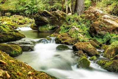 koliba Odmor za igrače golfa Südeifel