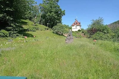 Vakantiehuis in Wieda met tuin