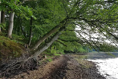 Gemutliches Refugium am Strand -- By Traum...