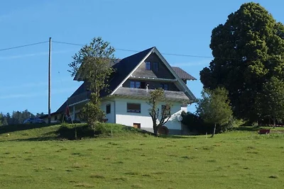 Ferienwohnung mit 1 Schlafzimmer
