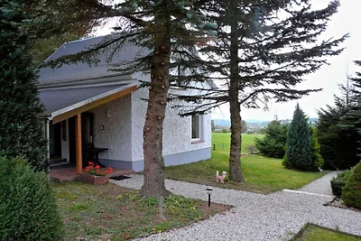 Ferienhaus in Zöblitz mit Schwimmbecken