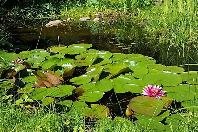 Vakantiehuis met 3 slaapkamers