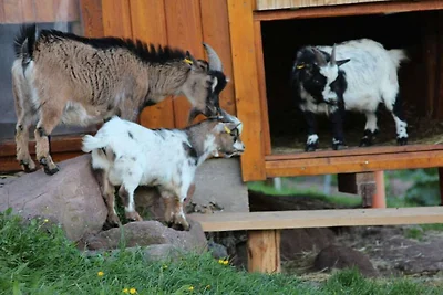 Abendrot auf dem Florihof