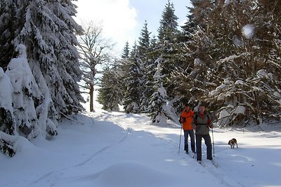Ferienhaus in Božanov mit Sauna und einzigart...