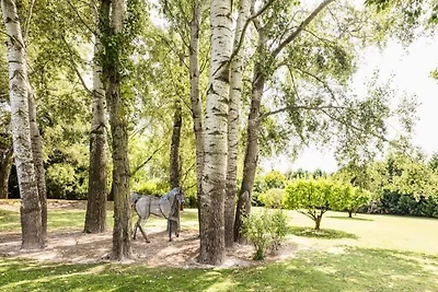 Einfamilienhaus in der Provence