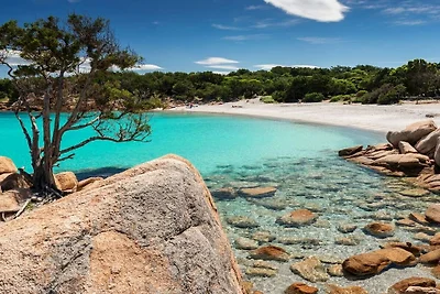 Isola Sarda Appart Cosy