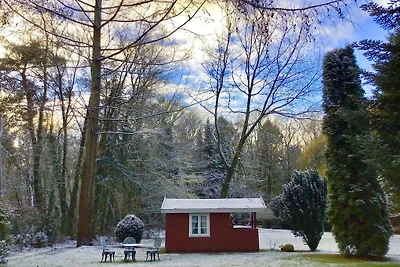 Ferienwohnung mit 3 Schlafzimmer