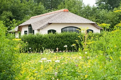 ||---La casa Polder---||