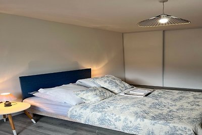 Renovierte Wohnung im Zentrum von Sedan