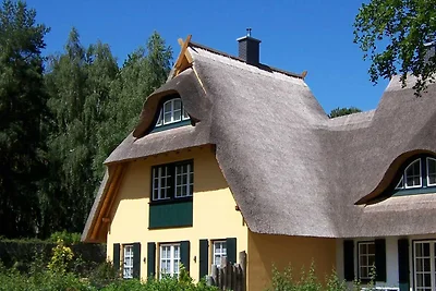 Küstenwaldvilla in Dierhagen