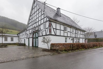 Gemütliches Ferienhaus in Schmallenberg mit...
