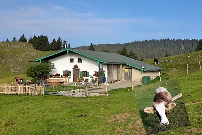 Appartement de vacances à Prien avec piscine