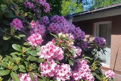 Ferienwohnung mit 1 Schlafzimmer