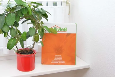Wohnung in Wehrstapel Sauerland mit Garten