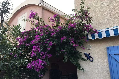 La petite maison bleu