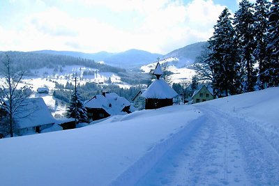 Wohnung im Tal des Schwarzwaldes