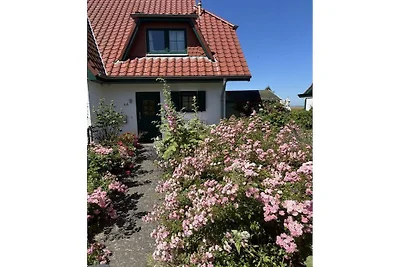 Kiekut Ostseeblick