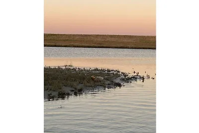 Ferienwohnung mit 2 Schlafzimmer