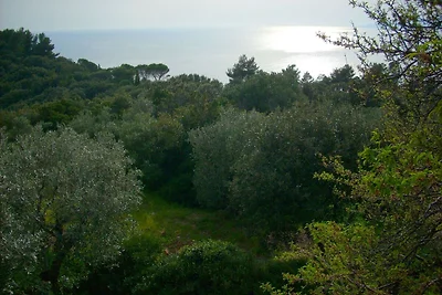 Comoda casa vacanze con giardino