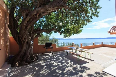 Summerheaven Apartments - Standard One Bedroo...